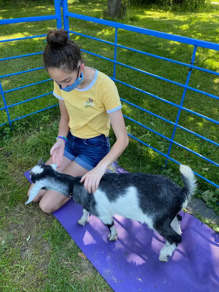 Hannah playing with goats at Simmons Farm