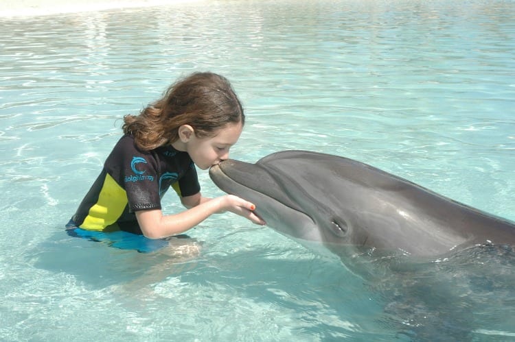 Dolphin Cay at The Atlantis Bahamas from Atlantis Bahamas Reviews via wetriotravel.com