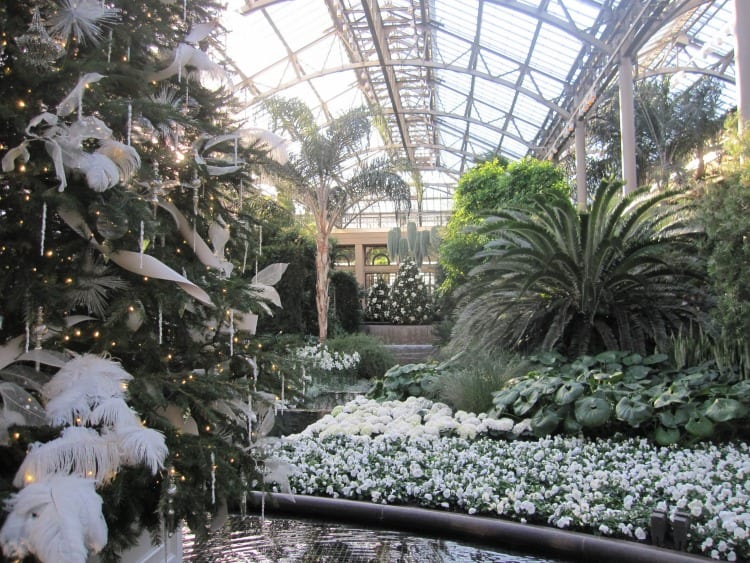 Longwood Gardens at Christmas - Conservatory -- wetriotravel.com