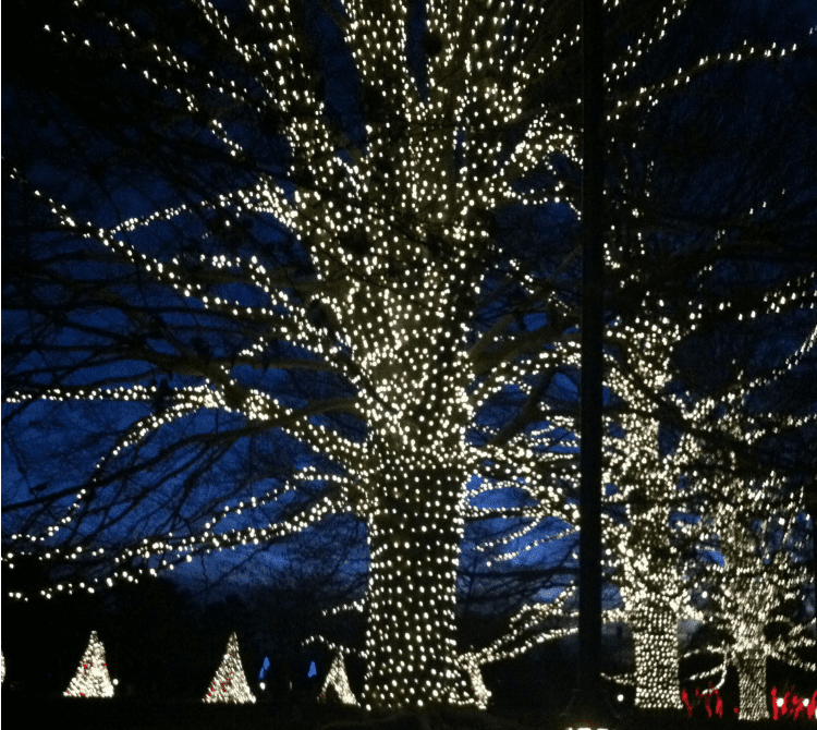 Christmas at Longwood Gardens via wetriotravel.com