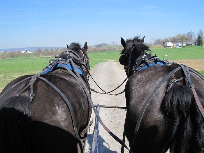 Lancaster buggy ride