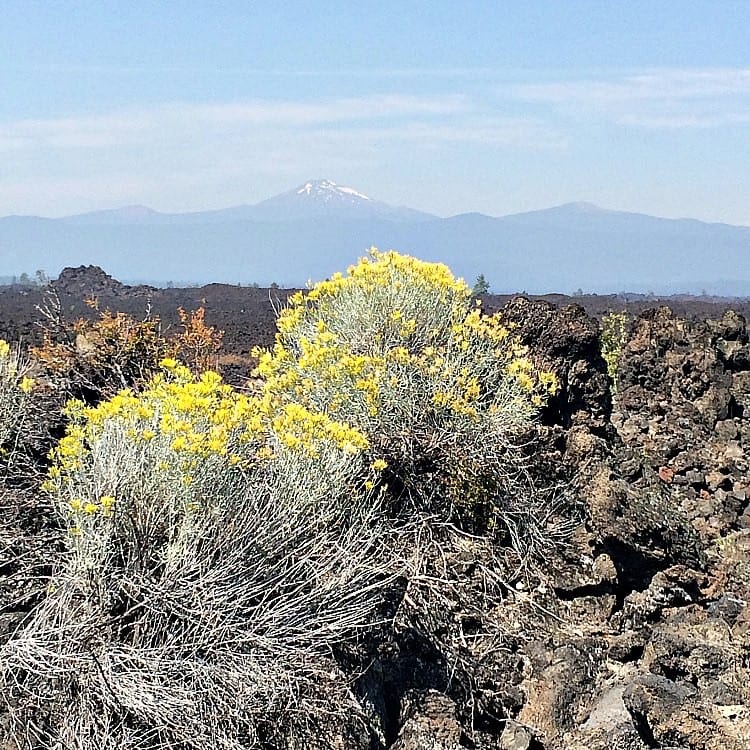 Lava Lands Trail of the Molten Lands