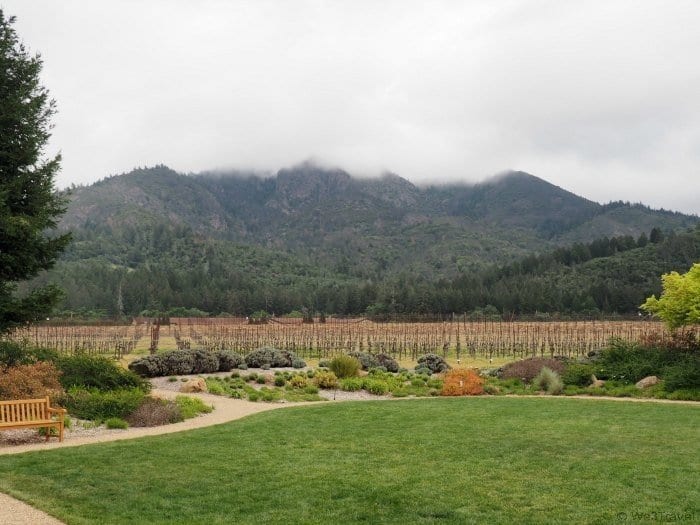 Family friendly wineries in Sonoma California