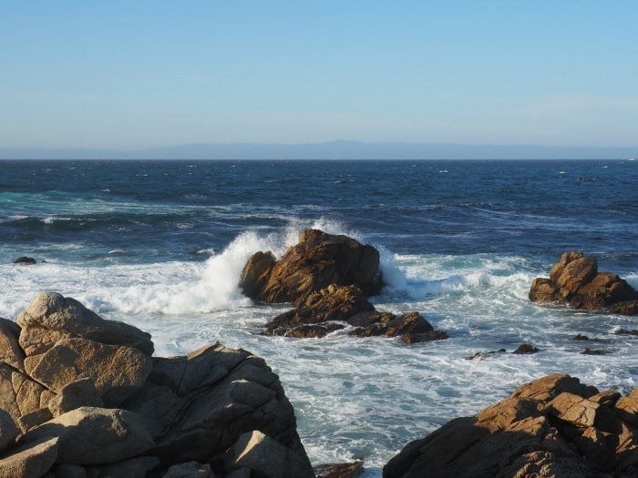 Things to do in Sonoma with family