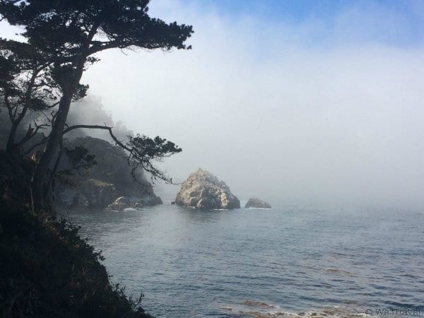 What to do in Carmel with Kids -- visit Point Lobos State Park for a day of hiking, picnicking and wildlife sighting.