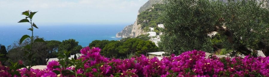 Where to eat in Capri, Italy
