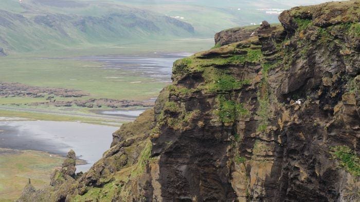 Looking for puffins in Iceland