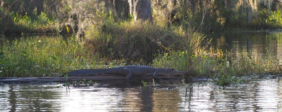 Louisiana