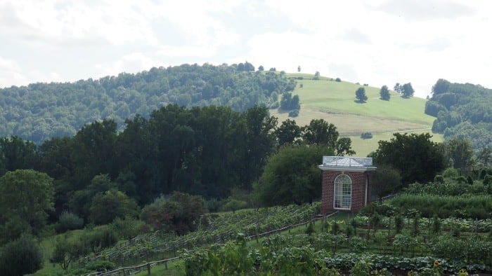 Monticello garden and hill