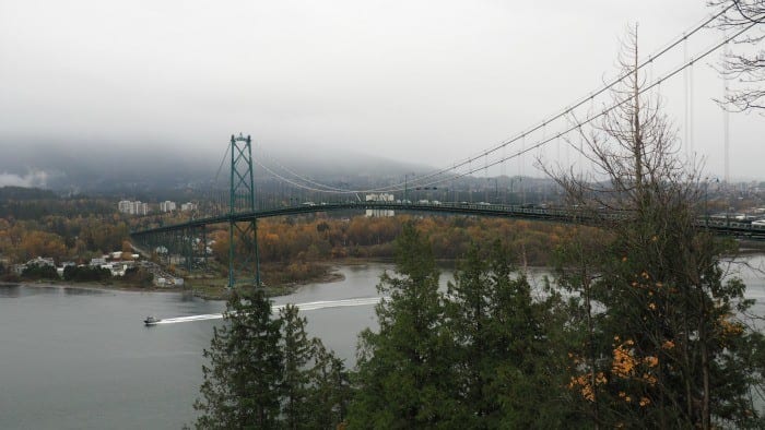Stanley Park in the rain