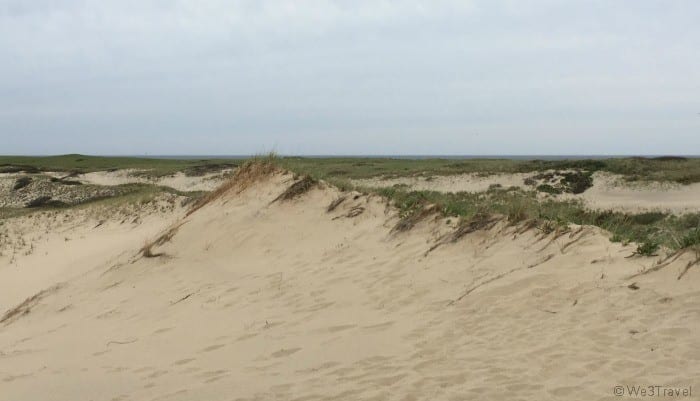 Arts Dune Tours Provincetown