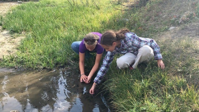 Catching tadpoles at the nine quarter circle ranch