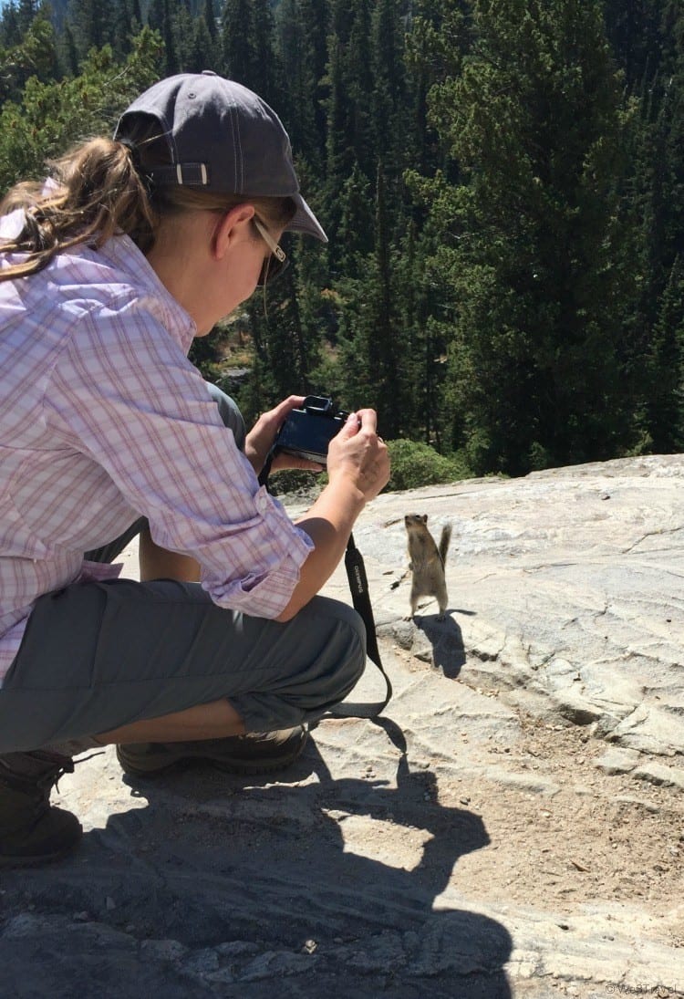 Inspiration point squirrels