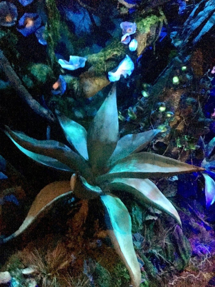 Line at Avatar Flight of Passage
