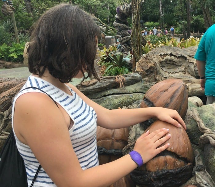 Pandora drum circle
