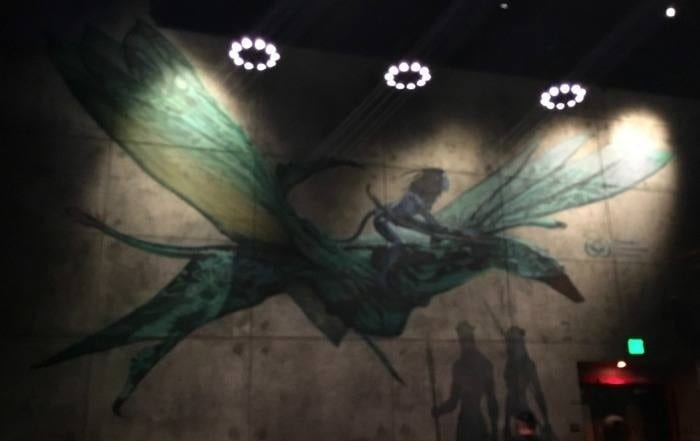 Banshee Flight of Passage