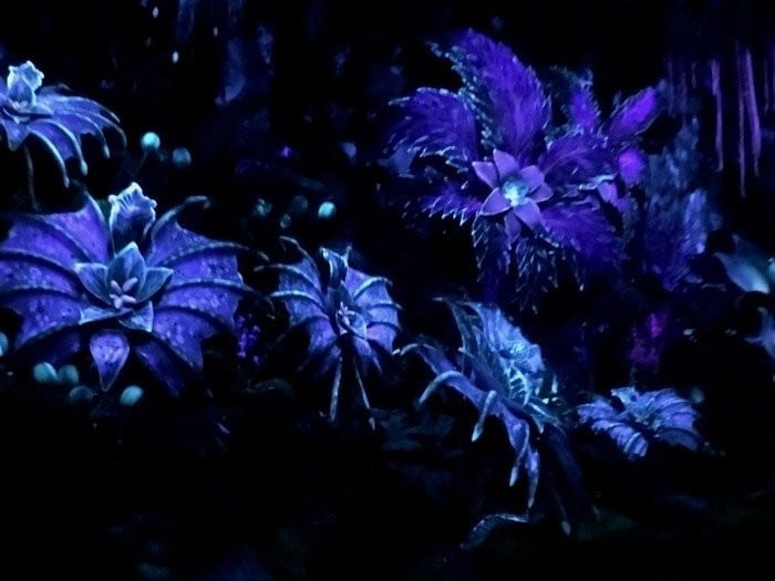 Navi river ride in Pandora Animal Kingdom