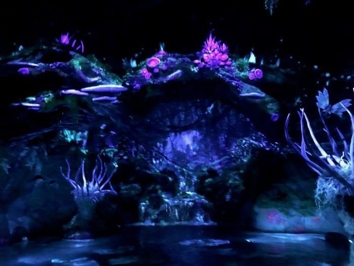 Navi river ride Pandora Avatar