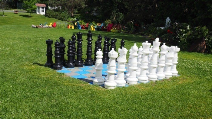 basin harbor chess