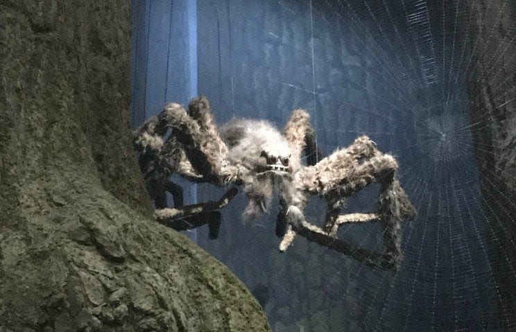 Spiders in Forbidden forest