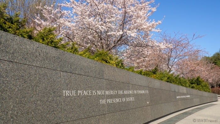 Washington DC cherry blossoms