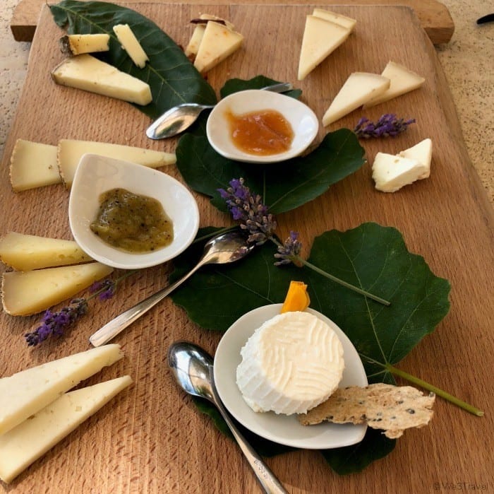 Pienza cheese tasting
