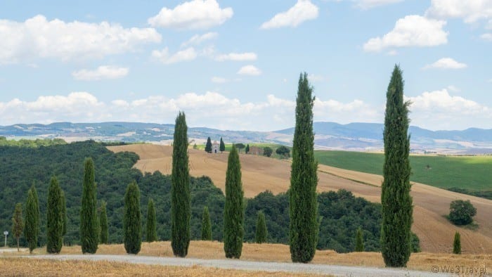 driving in Tuscany