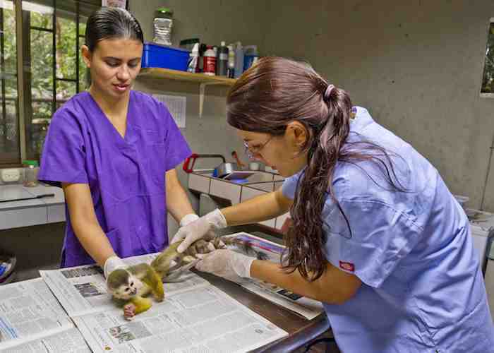 Wildlife rescue center Costa Rica