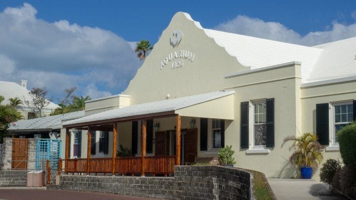 Bermuda Aquarium