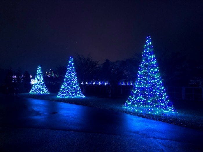 Longwood Gardens outside trees