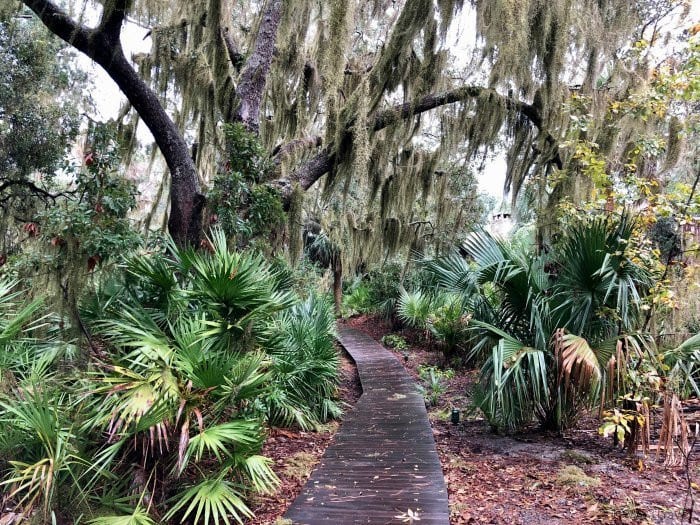 Little St Simons Island walkway