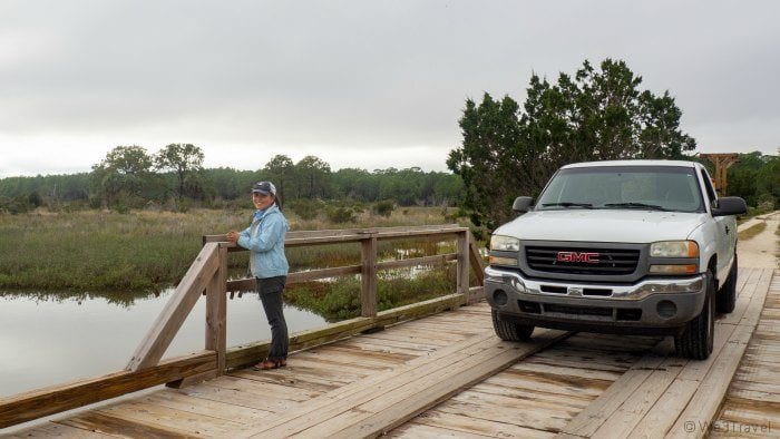 LSSI naturalist