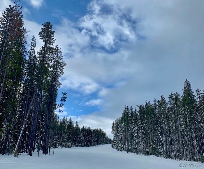 Lookout Pass Tamarack trail