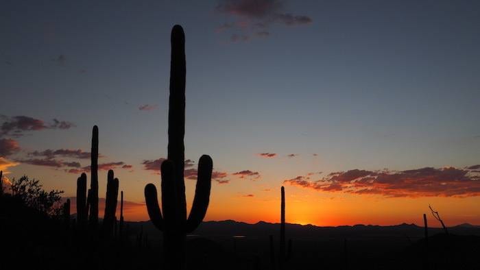 Saguaro National Park sunset