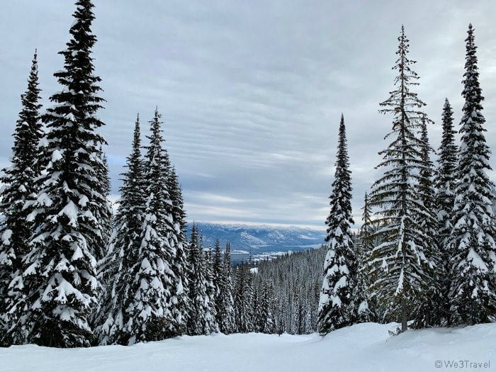 Schweitzer Mountain resort trees