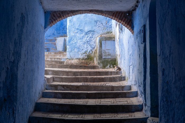 cat through arch in Chefchaouen