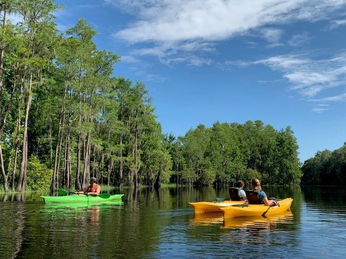 Kayaking at Shingle Creek