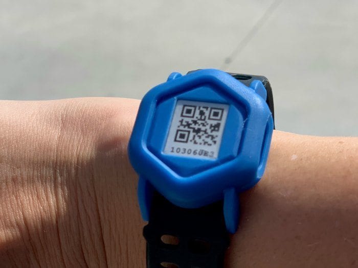 Smart band