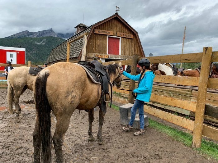 Meeting Cisco at Warner Stables in Banff