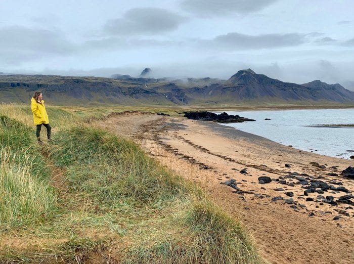 Beach at Budakirkja
