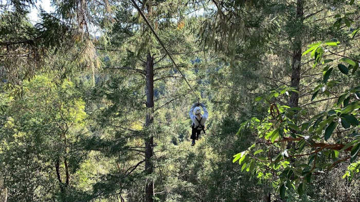 zipping with Sonoma Canopy tours