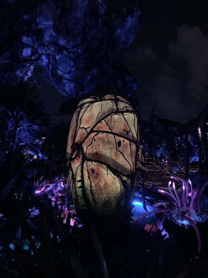 Pandora at night