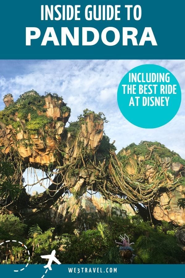 Inside guide to Pandora and the best ride at Disney
