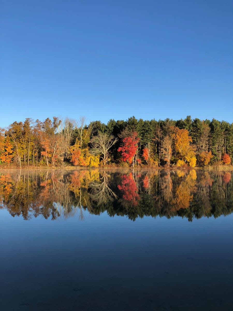 Lincoln Woods reflection of trees in lake