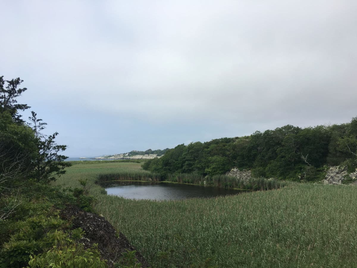 Norman Bird Sanctuary view from Hanging Rock Newport