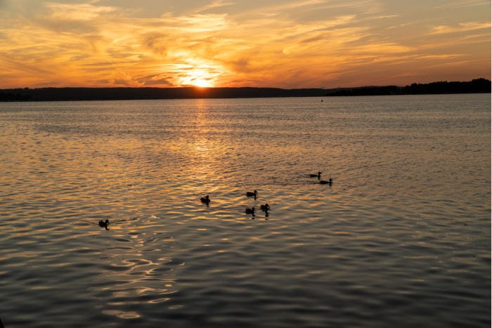 Sunset and ducks on Lake Chautauqua