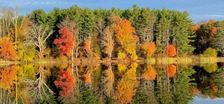 New England