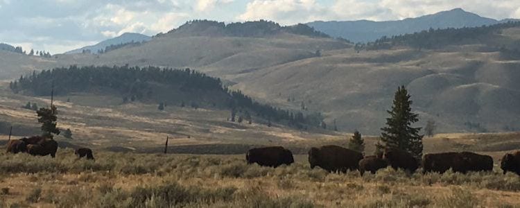 Montana
