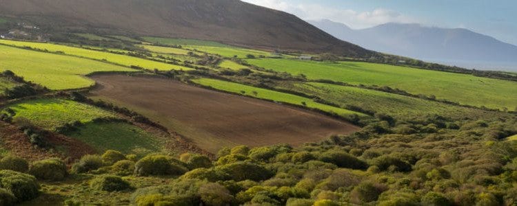Ireland