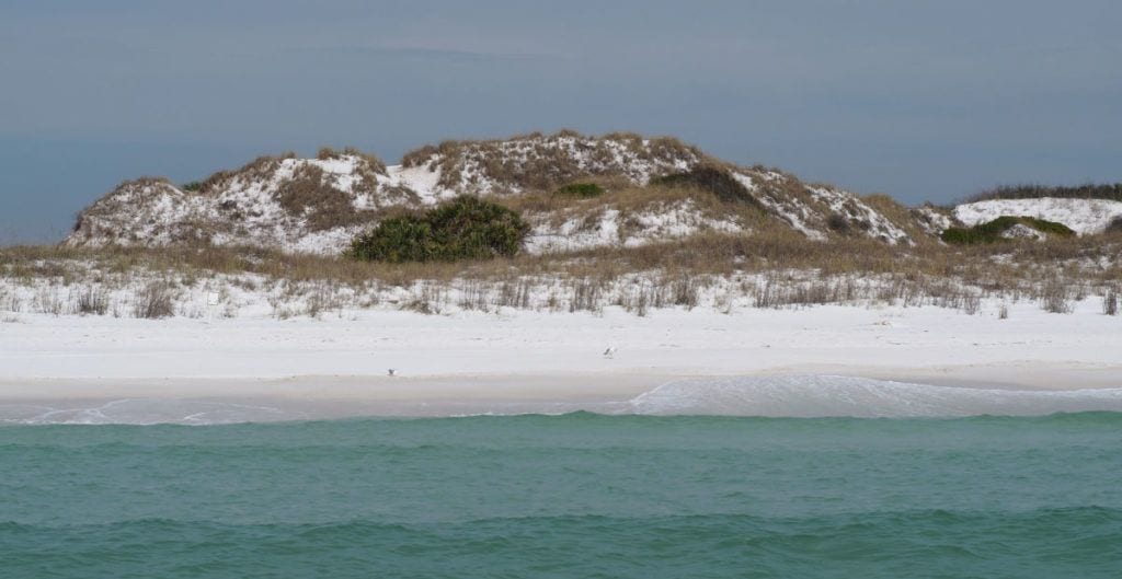 Shell Island beach and green water with gulls on the beach and grasses covering the dunes in the back